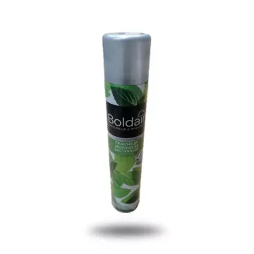 Aérosol bactéricide parfumant menthe Boldair