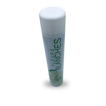 Désodorisant - Aérosol de 750ml