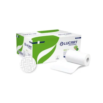 Un carton d'essuie-main et son rouleau de Lucart ECO 70 : rouleau essuie-main professionnel 70 m
